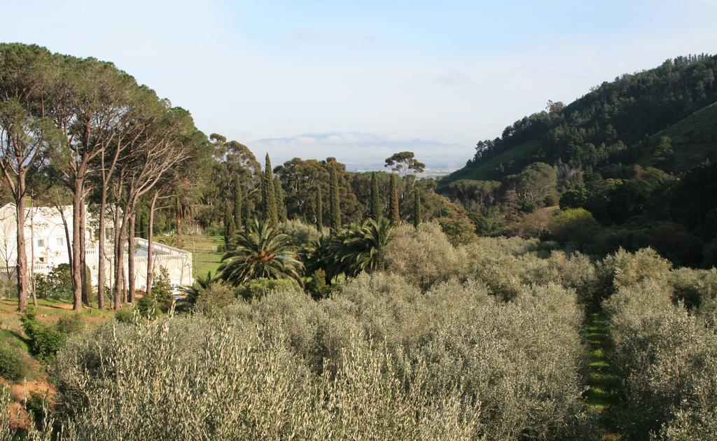 Cascade Manor Hotel Paarl Kültér fotó